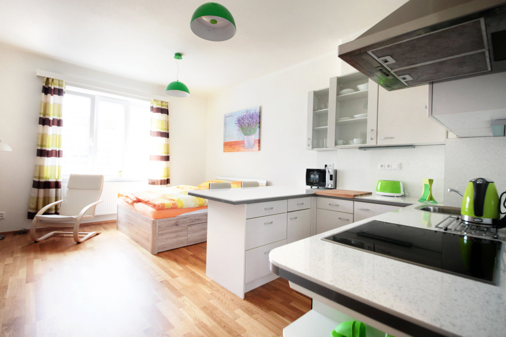 One-bedroom apartment, Fitness, terrace, Prague 10 preview