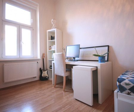 Room in spacious apartment in Letná