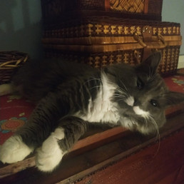 Landlords profile photo