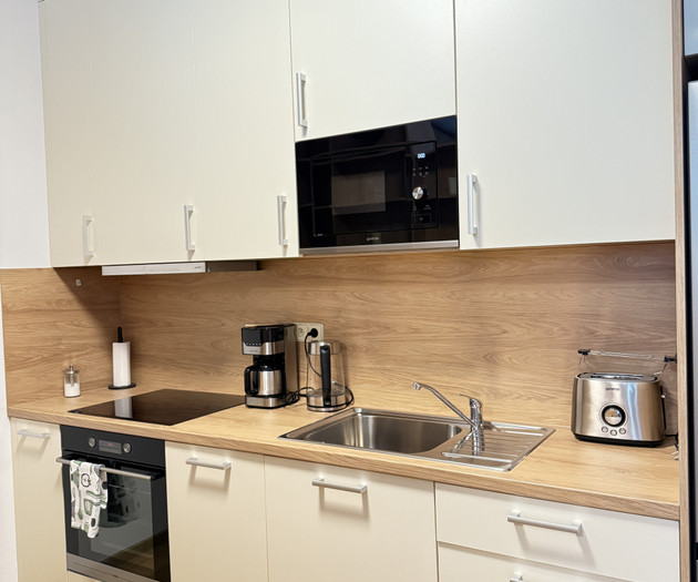 Parkside Apartment 1 Prague