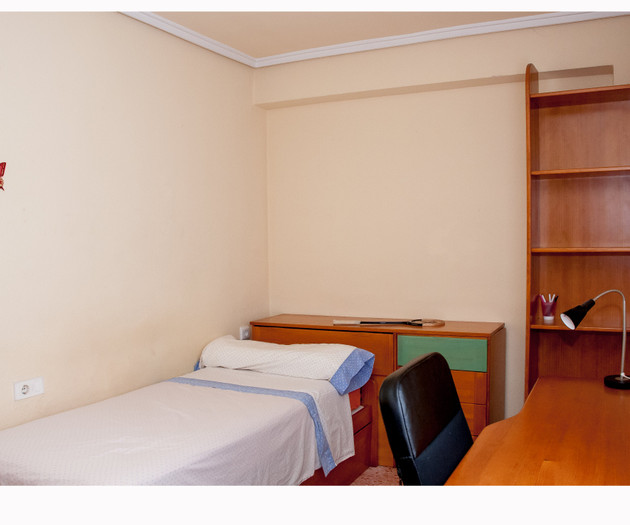 The Big Erasmus Apartment