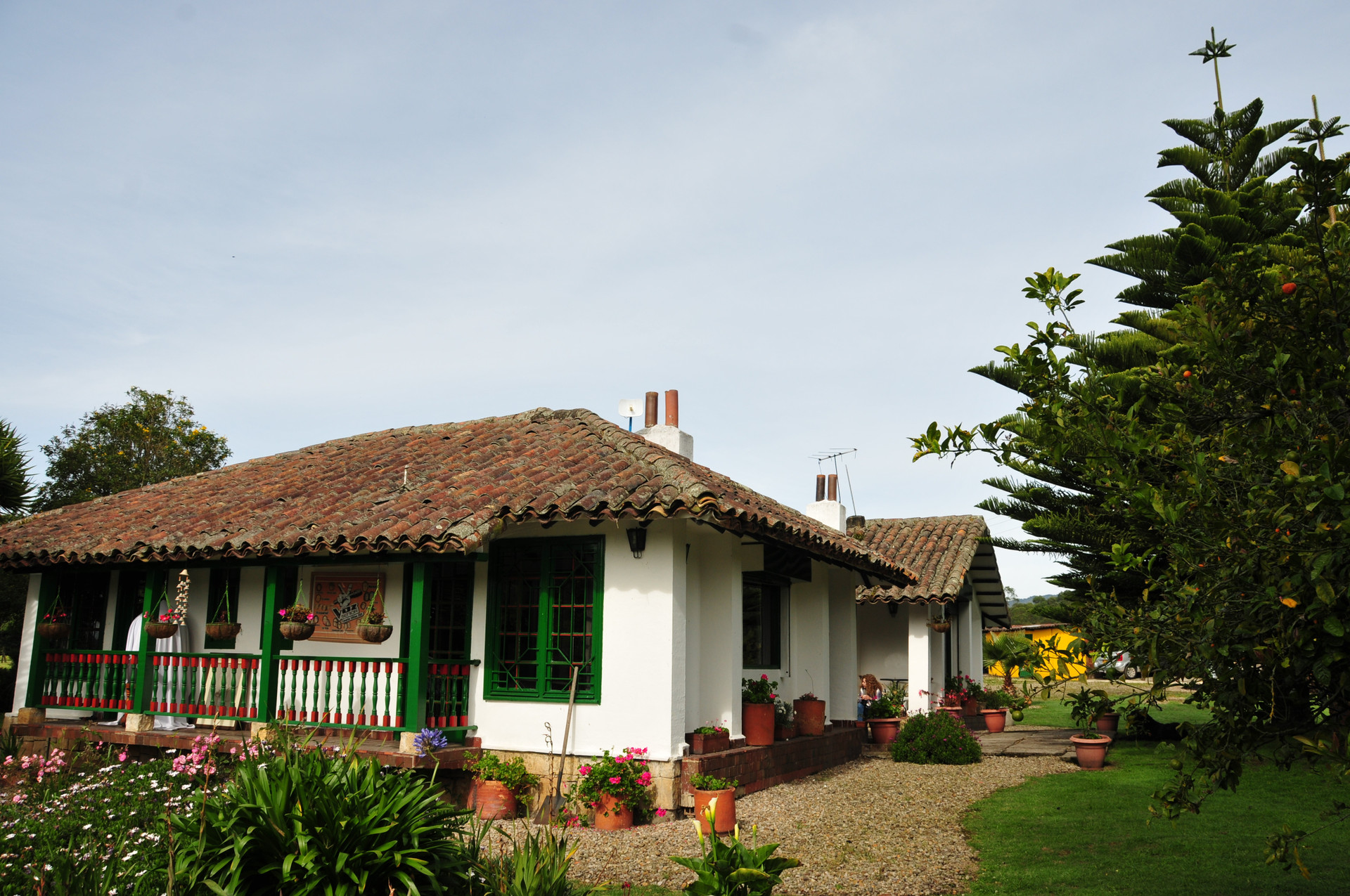 side yard