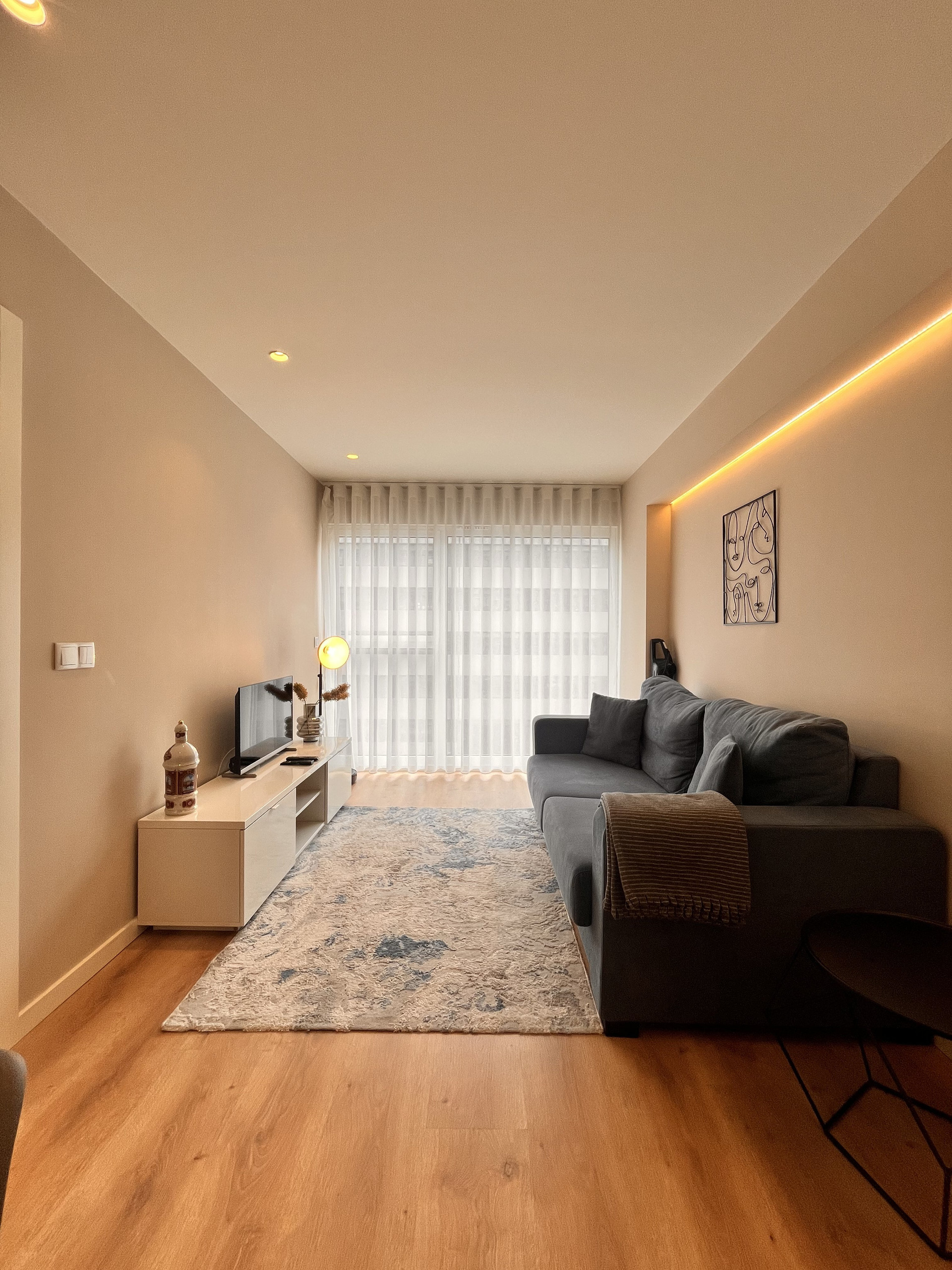 Living room with sofa bed