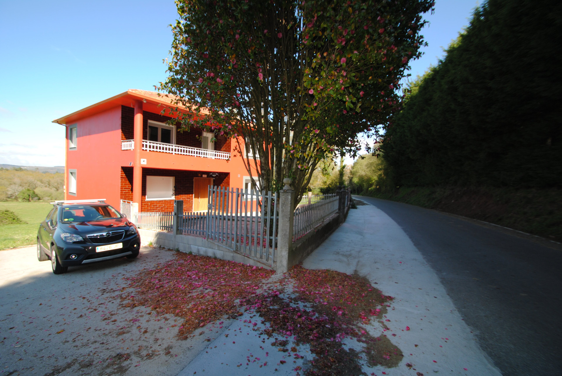 House side view with road