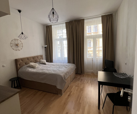 Flat for rent - Prague 2
