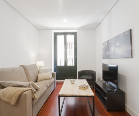 Cozy and modern apartment in Gran via.