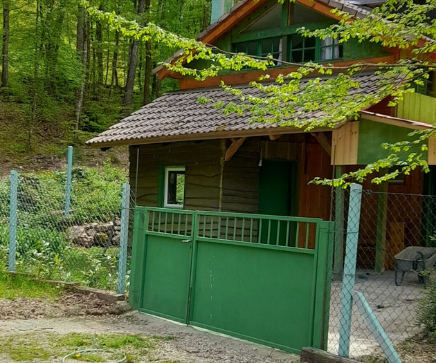 Holiday home "Green Hut"