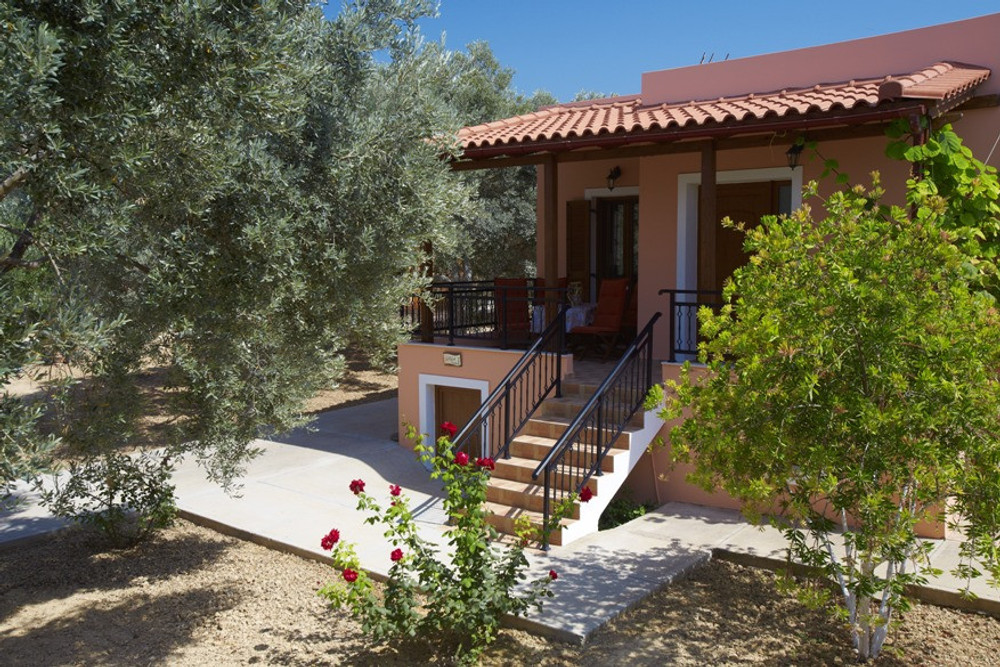 Comfortable house among the olive trees