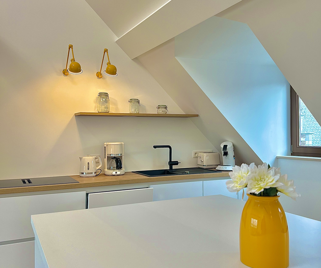 Design & Elegant Duplex in the Heart of Brussels