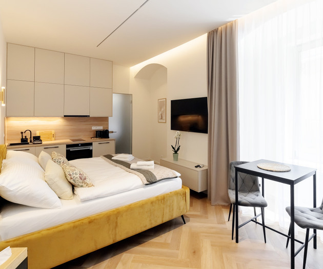 Designer Apartment in the Heart of Brno , 1+kk