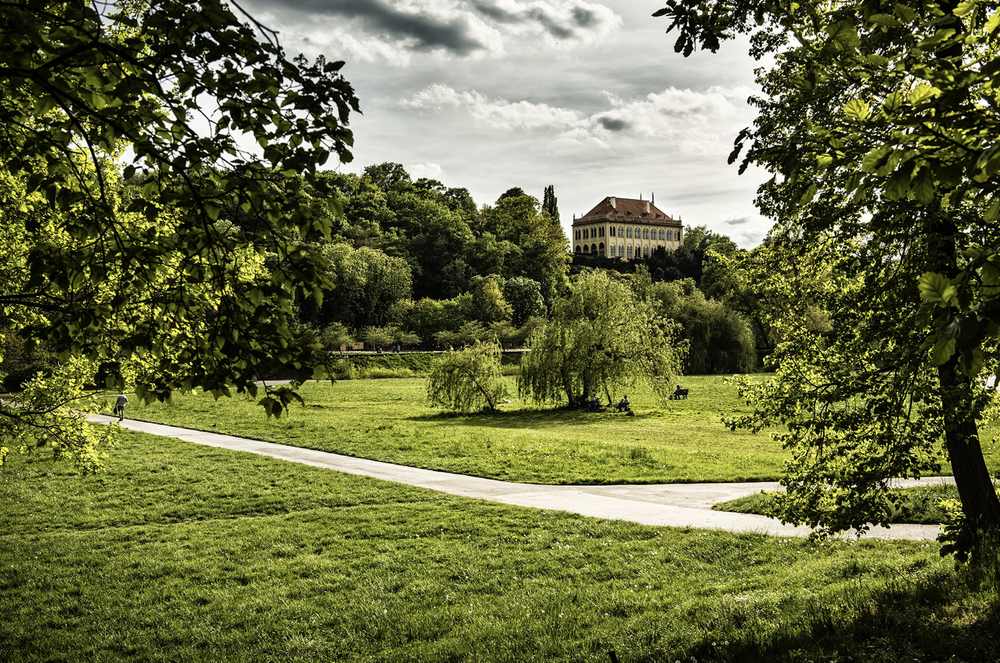 Image #5