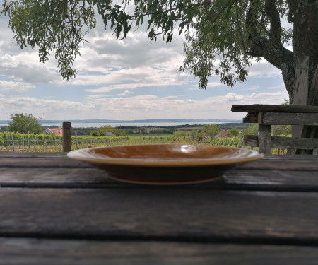 Présház-nyaraló , kilátással a Balatonra