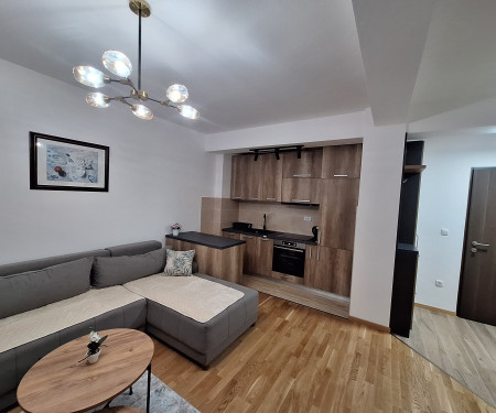 Modern,cozy apartment in Podgorica.