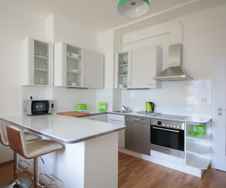 One-bedroom apartment, Fitness, terrace, Prague 10