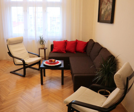 Freshly renovated apartment in Royal Vinohrady