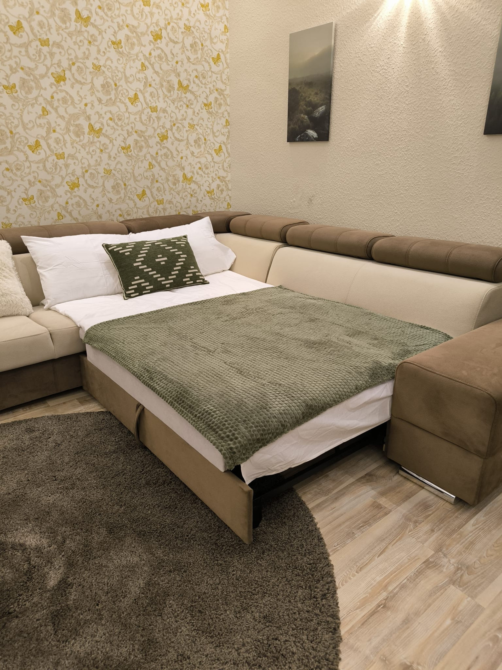 Living room sofa bed