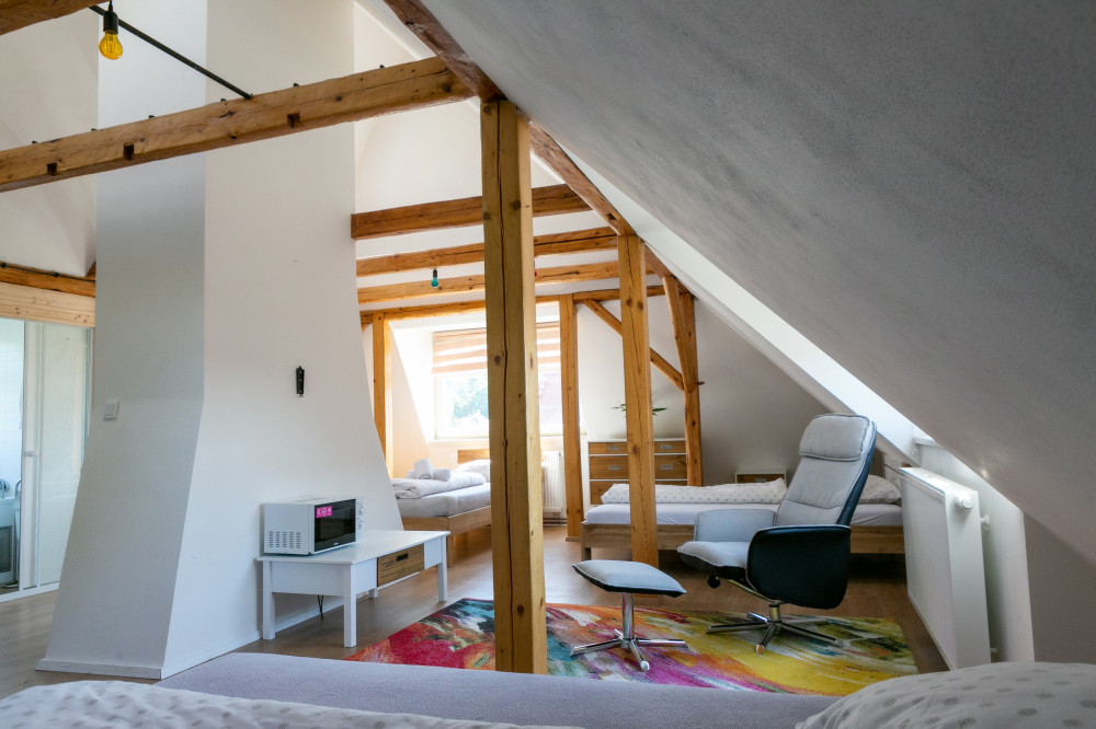 Beautiful attic apartment near the ZOO in Liberec