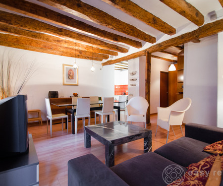 Charming Loft, fully renovated