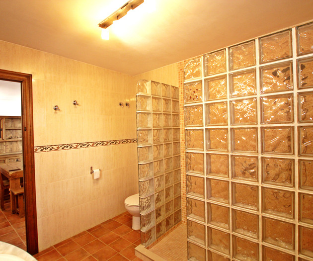 Bathroom with glass block shower