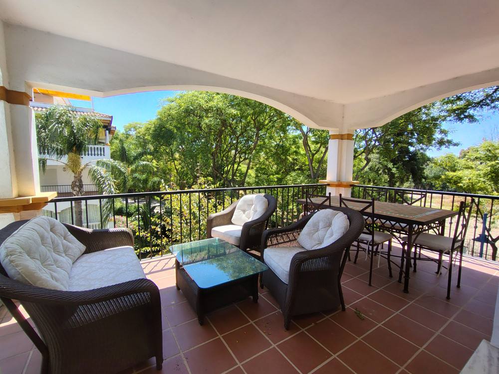 Winter Oasis near Puerto Banús – Paddle & Terrace preview