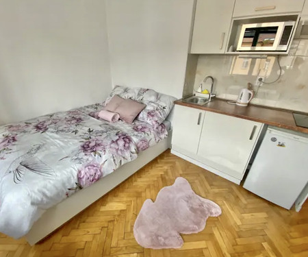 CITY CENTER COZY APARTMENT near UNESCO VYSEHRAD