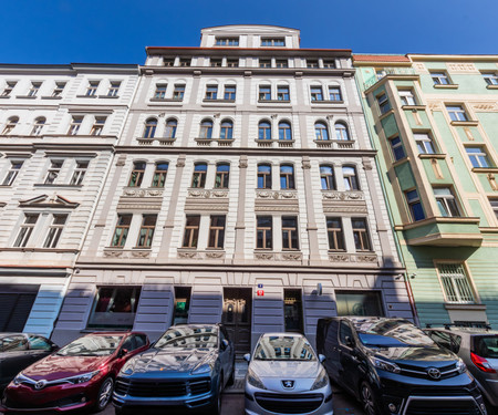 Cosy and bright flat in Vinohrady/Žižkov