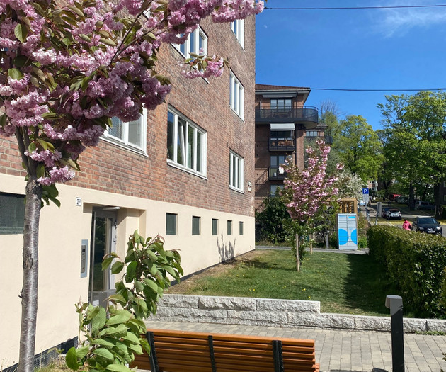 Cool, lively area with cafés, food spots and parks