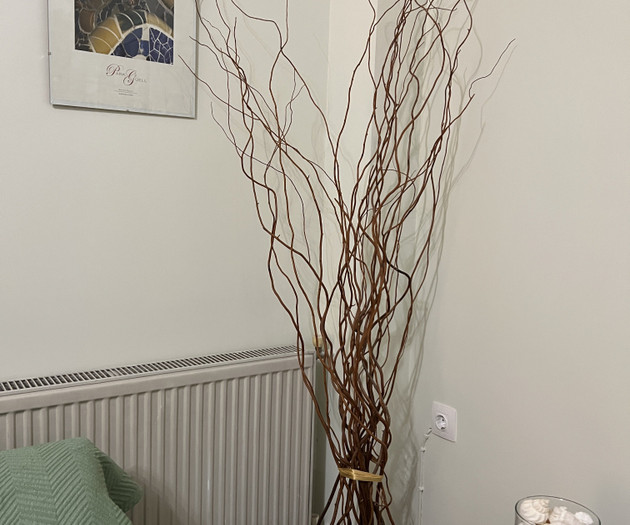Decorative branches and radiator