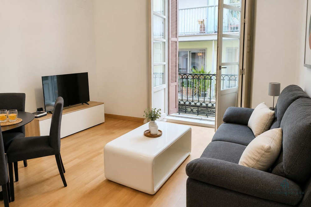 Guevara MidStay Apartment by Living4Malaga preview