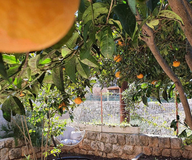 Barbara's Garden Apartment
