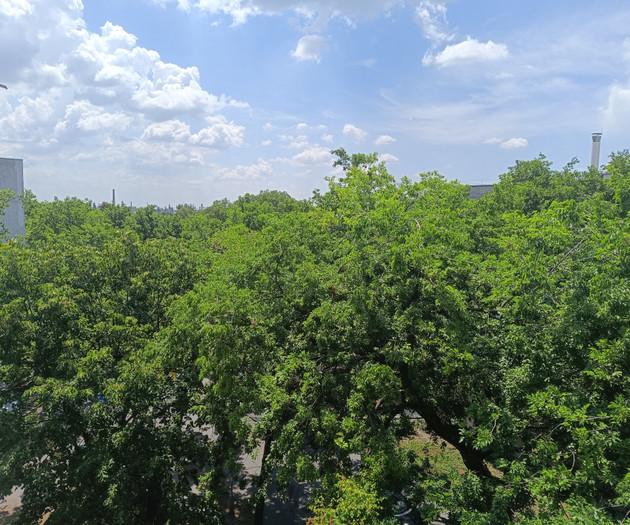 Világos, csendes lakás ingyenes parkolással