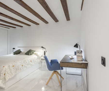 Renovated loft in center of Valencia