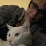Landlords profile photo
