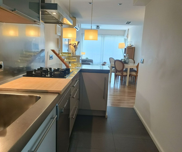 Apartment with Terrace Next to Turia Gardens