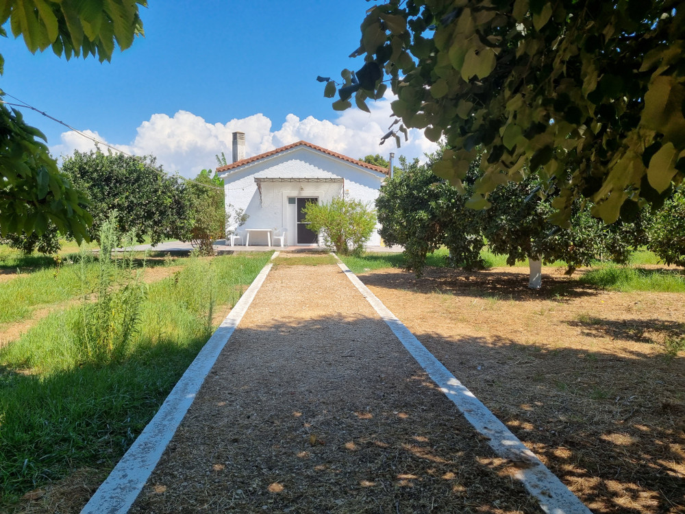 CountryHouse into a farm preview