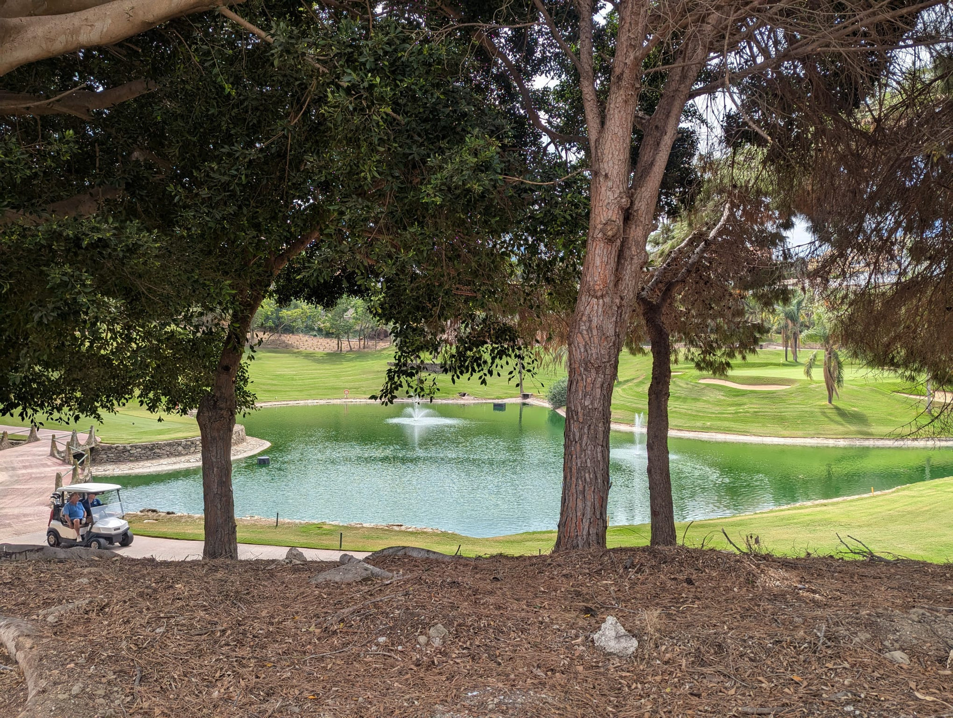 Local Area Golf Course