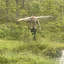 Markus Rindal L.