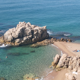 Landlords profile photo