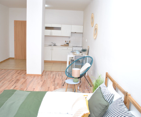 Separate sunny apartment near the centre of Brno