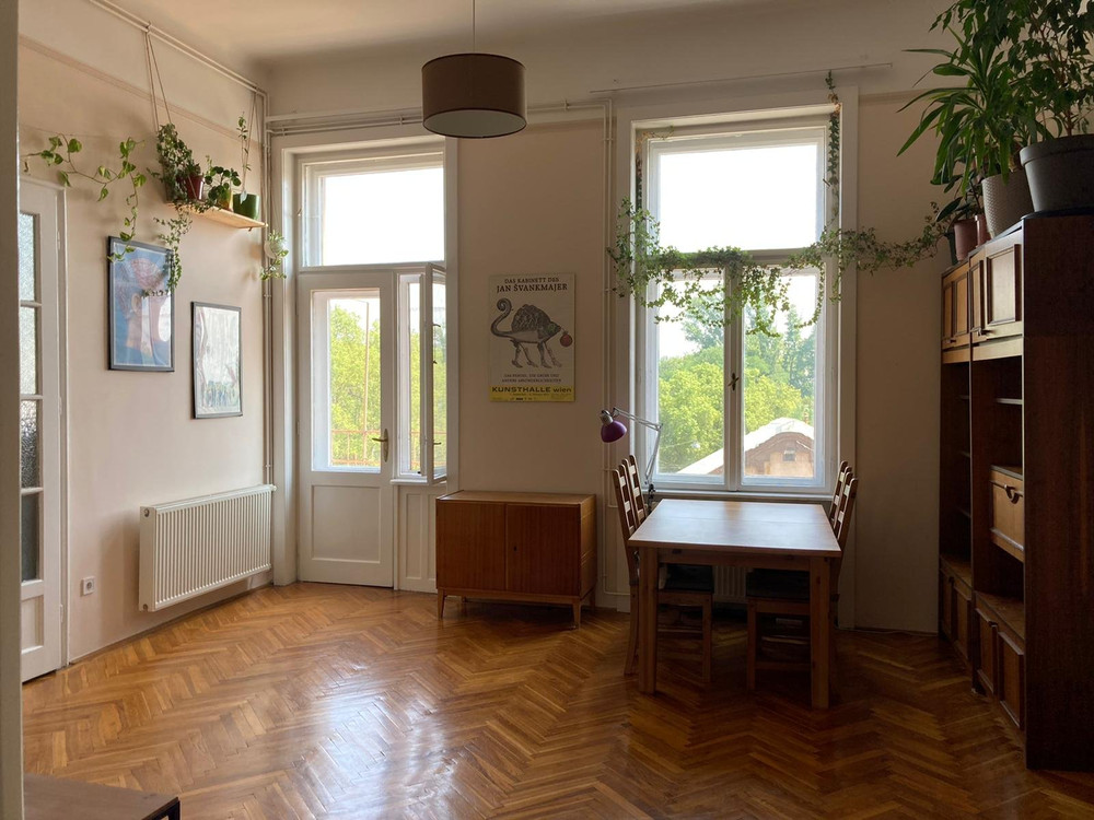 Bright, furnished & pet friendly apartment preview