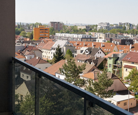 Bright modern two-room apartment at Žižkov