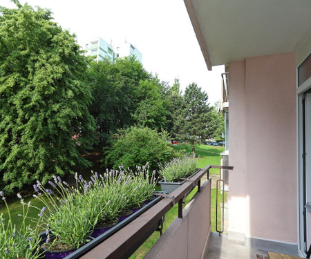 Concrete Apartment in the city centre