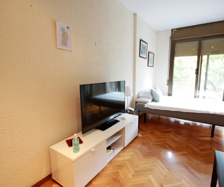 R0053- Room in flat to share Barcelona Montjuic