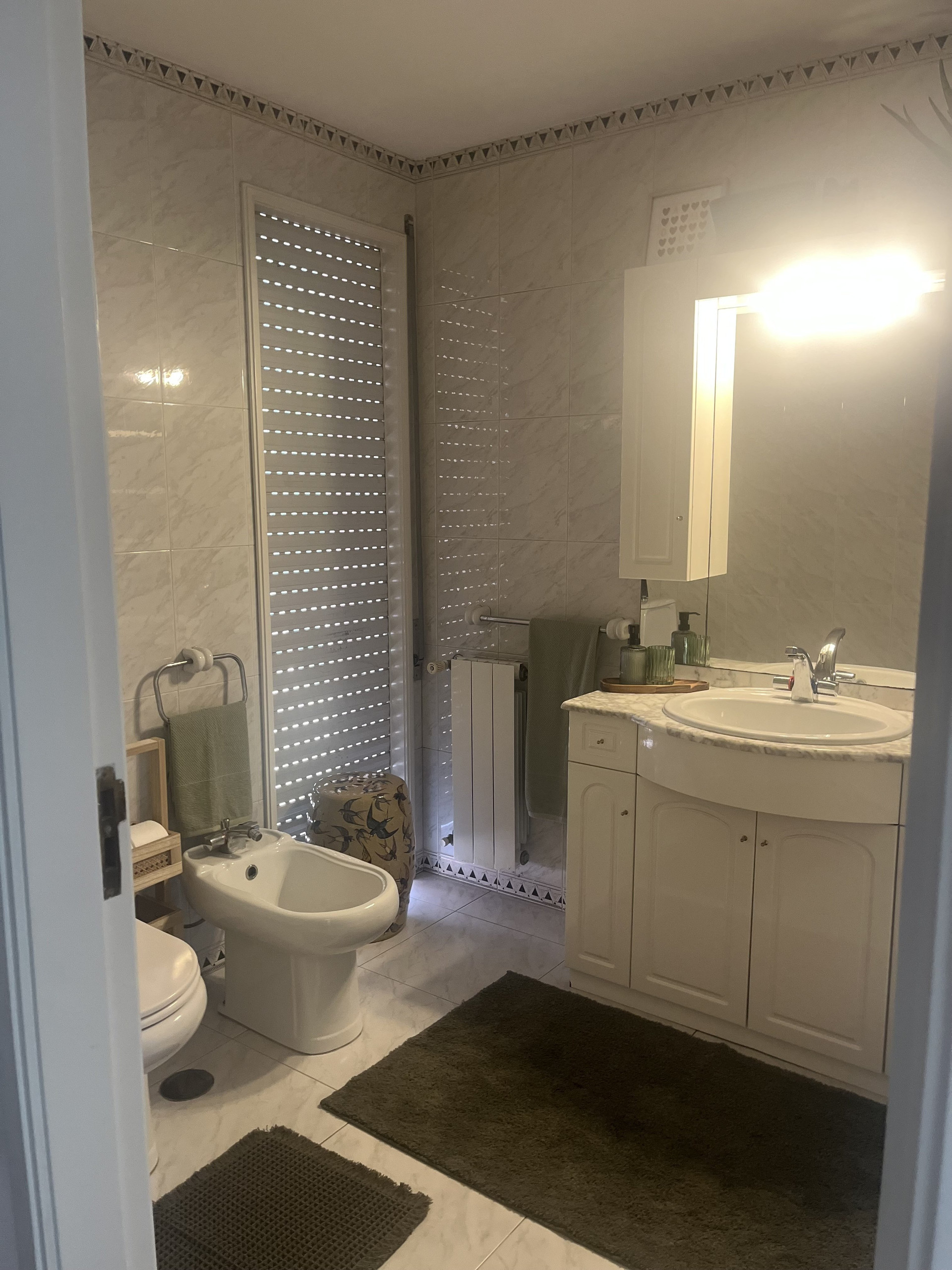 Bathroom with sink and bidet