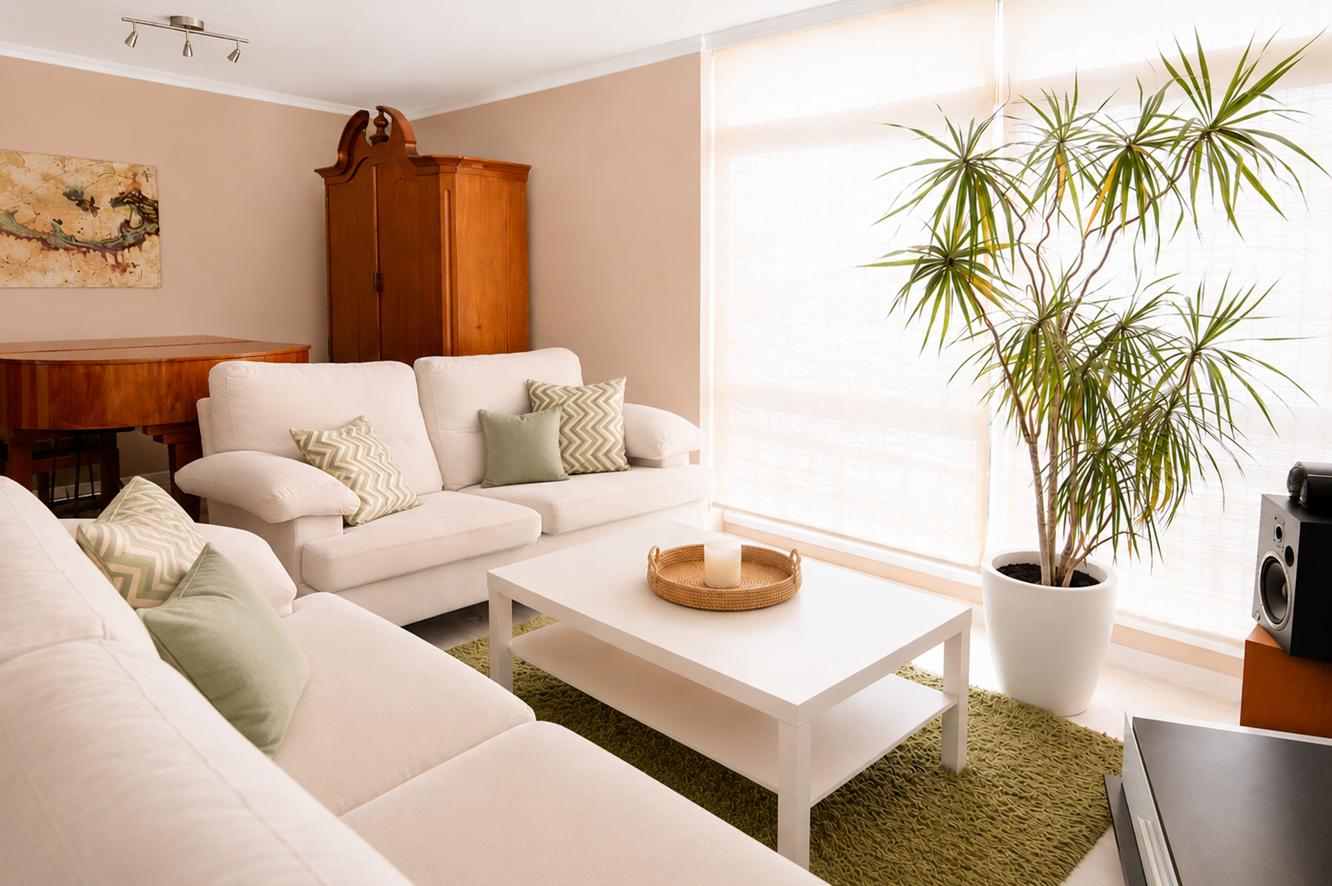 Sunny living room with sofas