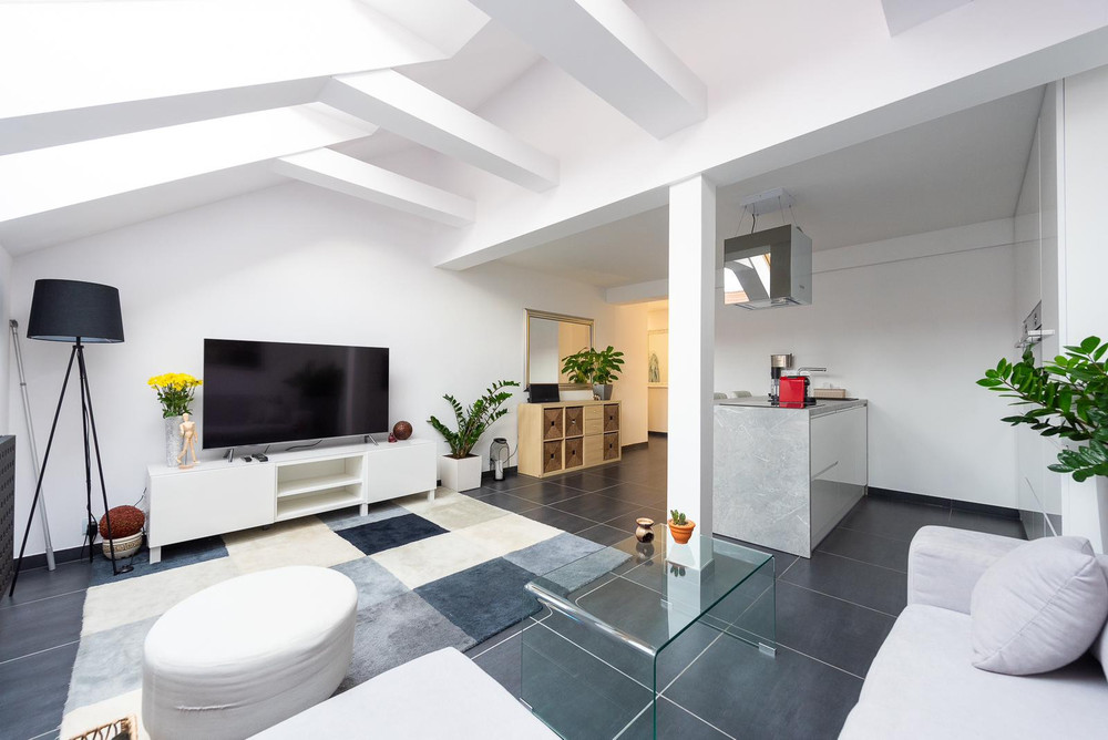 New Stylish Duplex Flat in Old Town preview