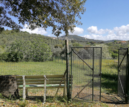 Tuscany Retreat:Greenery Apartment, Wifi