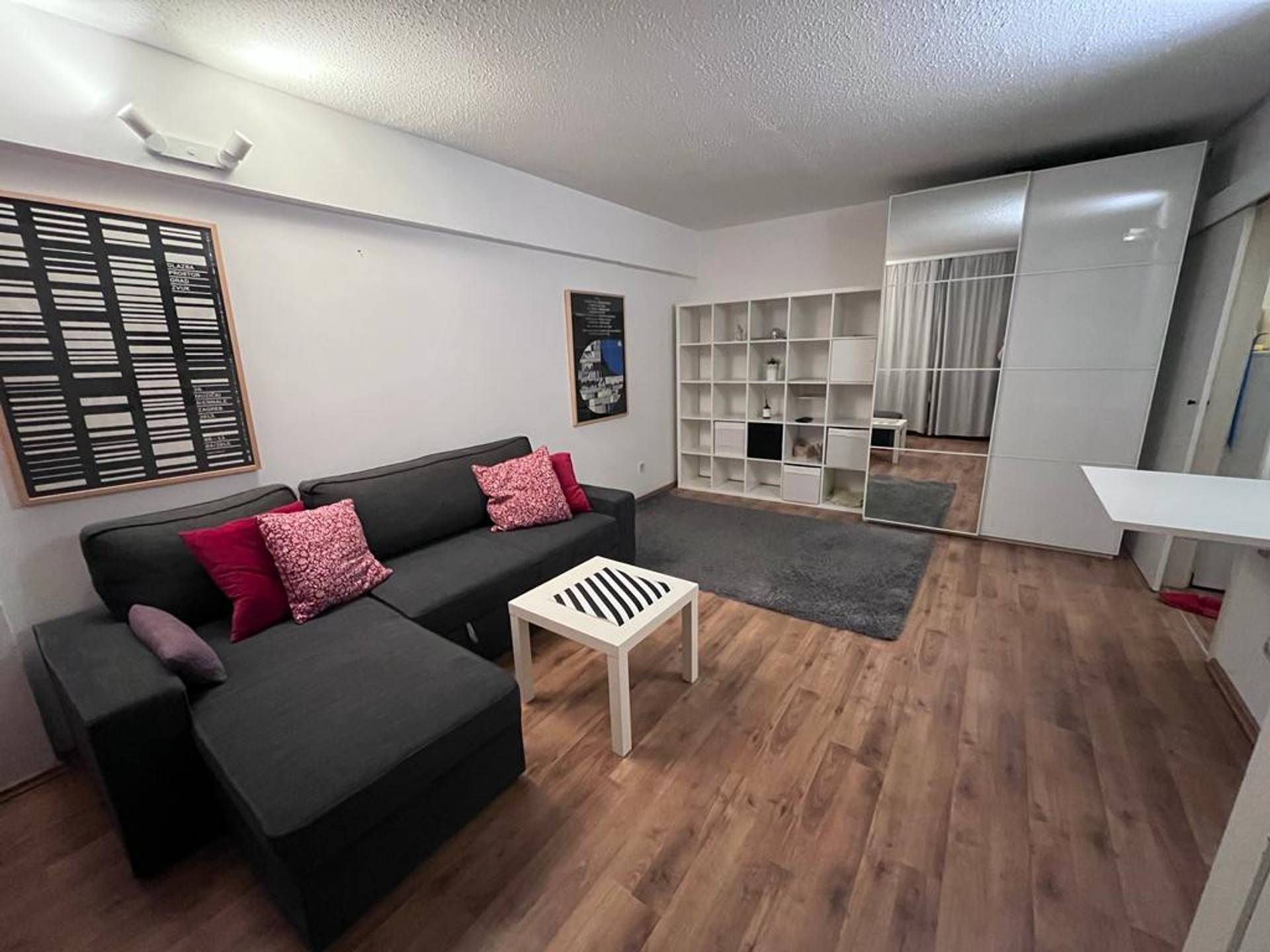 Living room / Bedroom