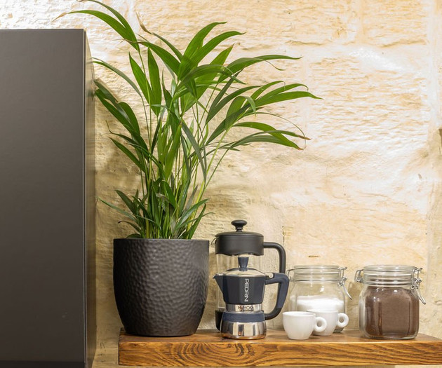 Coffee station with plant decor