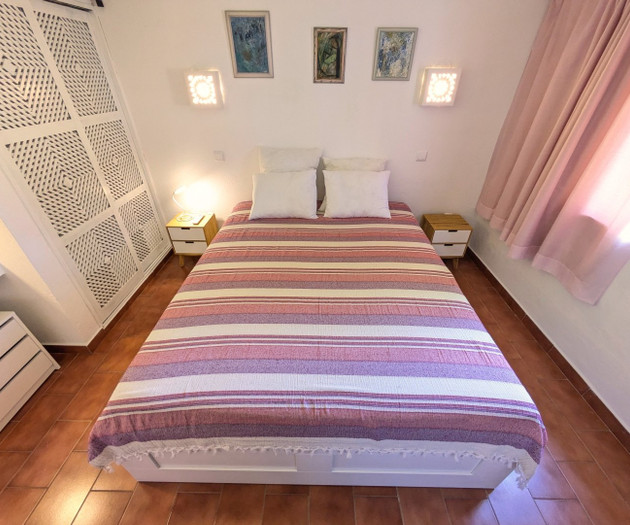 A Casa da Figueira, uma figueira, uma história